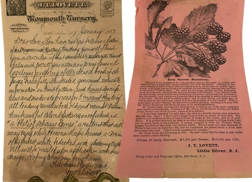 Ephemera lovelett monmouth - ephemera, jt
